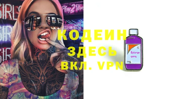 ГАЛЛЮЦИНОГЕННЫЕ ГРИБЫ Гусев