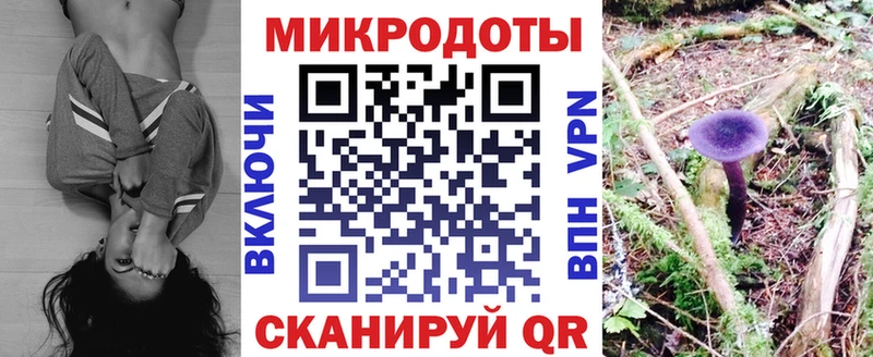 Псилоцибиновые грибы GOLDEN TEACHER  Купить где  Красный Холм 